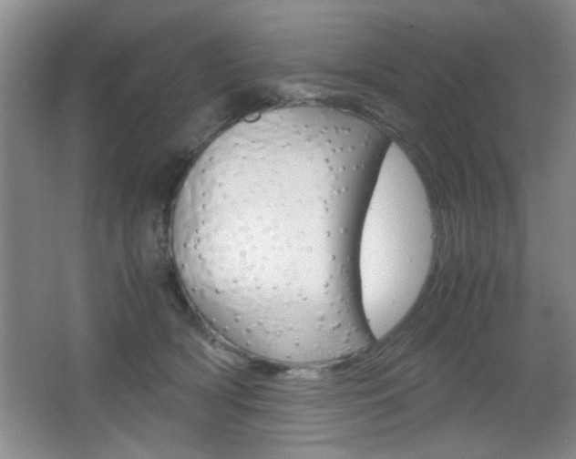 X0000067830418200604130923