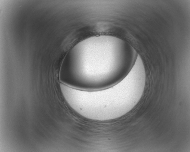 X0000067830421200604130923