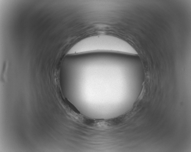 X0000067830423200604130923