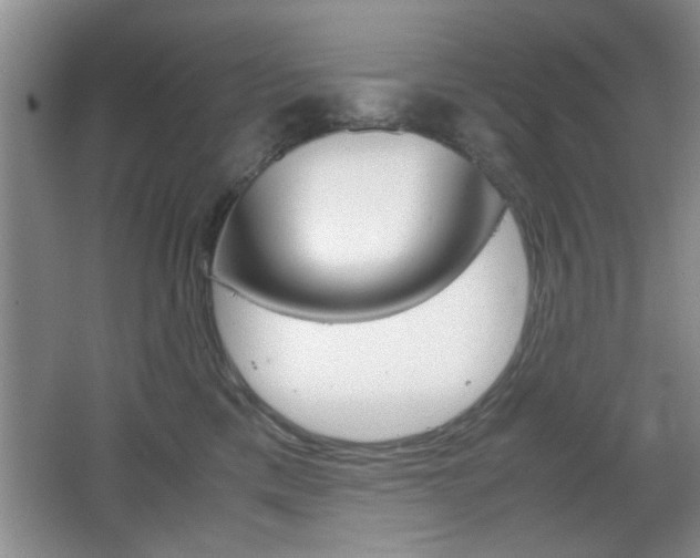 X0000067830425200604130923