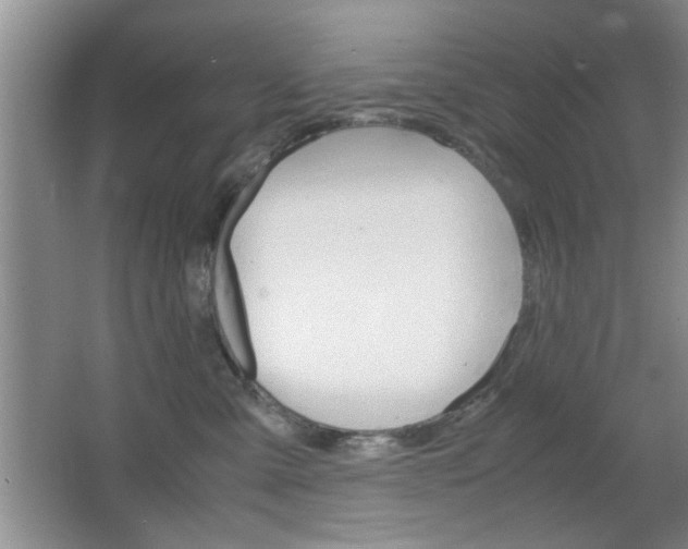 X0000067830427200604130923
