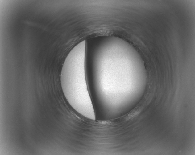 X0000067830432200604130923
