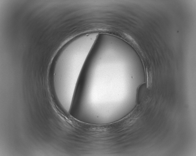 X0000067830435200604130922