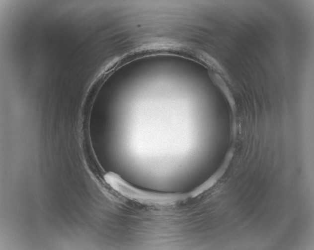 X0000067830436200604130923