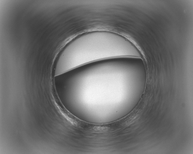 X0000067830437200604130923