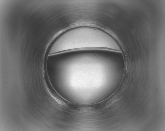 X0000067830438200604130923