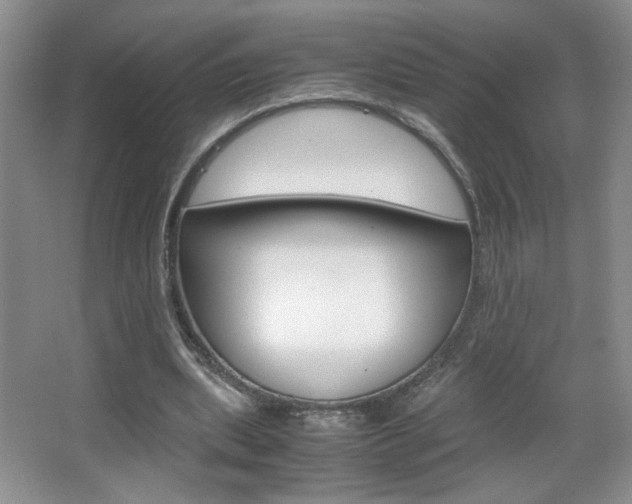 X0000067830439200604130923