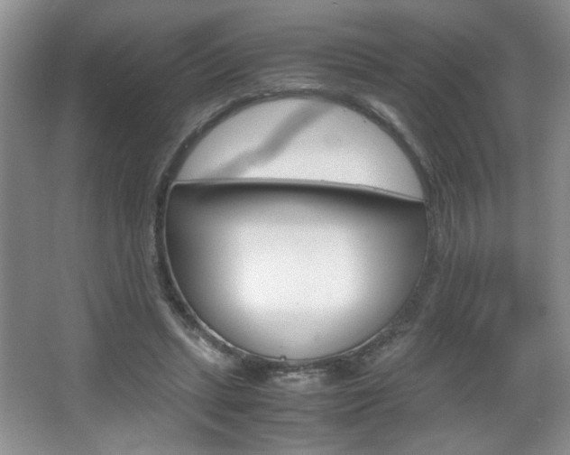 X0000067830447200604130923