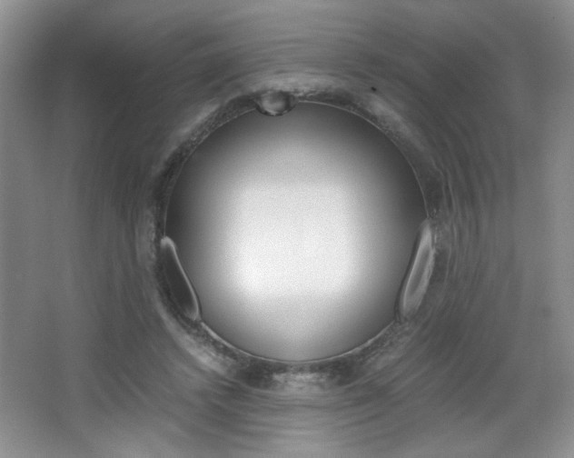 X0000067830448200604130923