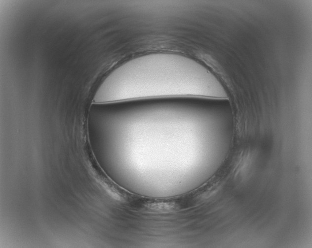 X0000067830449200604130923