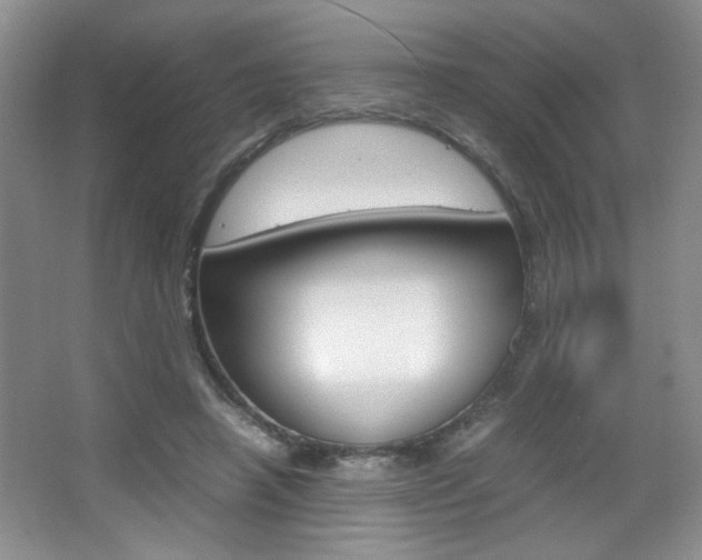 X0000067830450200604130923