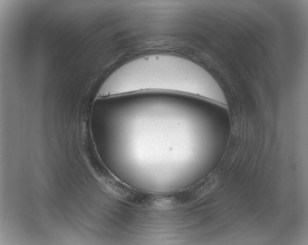 X0000067830456200604130923