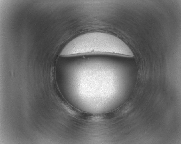 X0000067830462200604130923