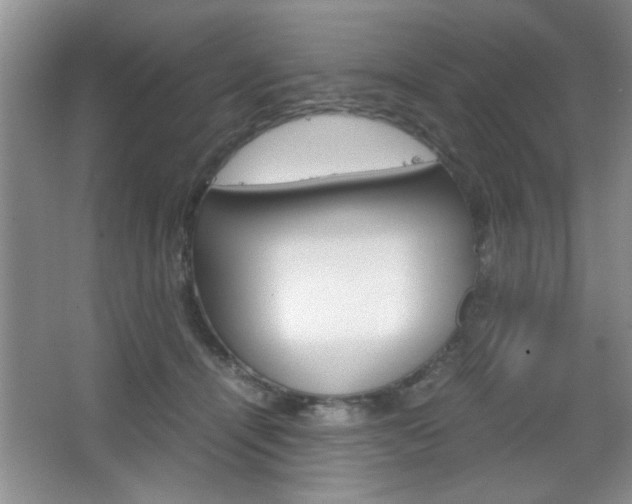 X0000067830464200604130923