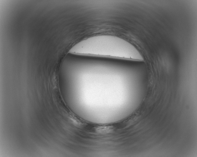 X0000067830465200604130923