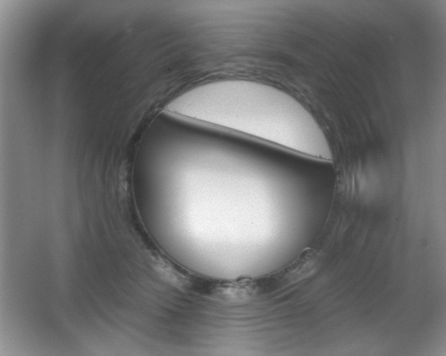 X0000067830466200604130923