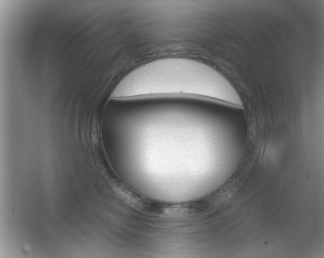 X0000067830470200604130923