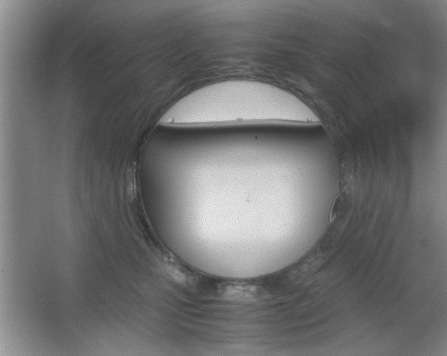 X0000067830471200604130923