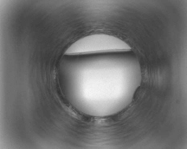 X0000067830472200604130923