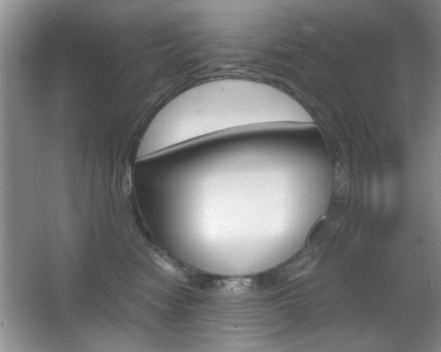 X0000067830474200604130923