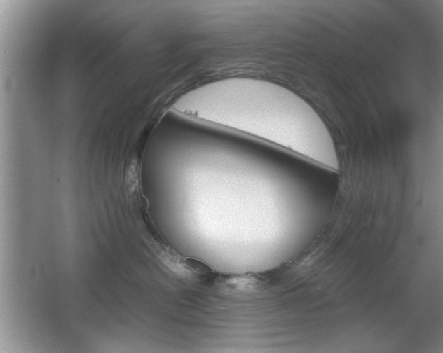X0000067830478200604130923