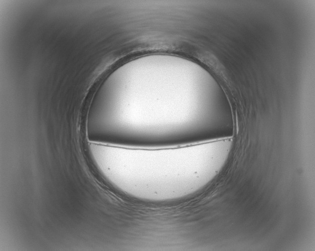X0000067830483200604130922