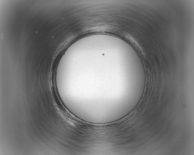 X0000067830486200604130922