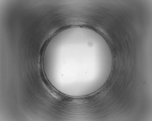 X0000067830490200604130922