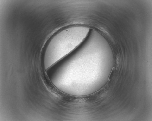 X0000067830492200604130922
