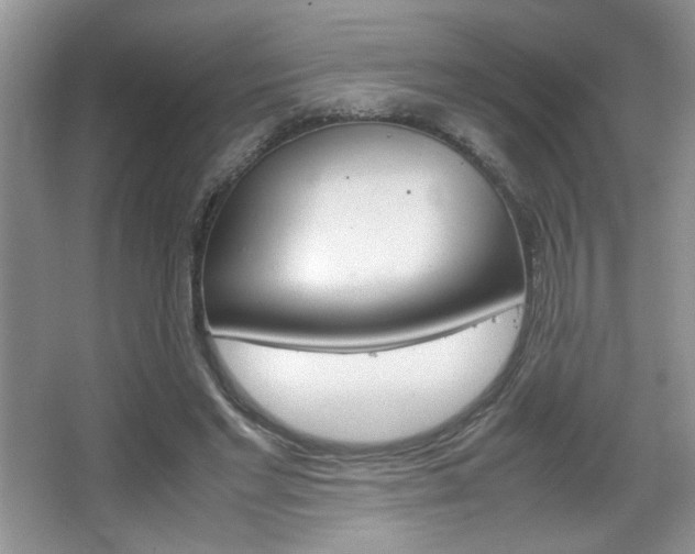 X0000067830493200604130922