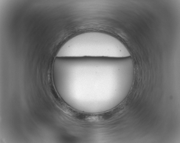 X0000067830499200604130922