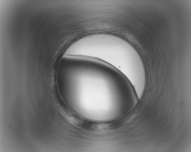 X0000067830501200604130922