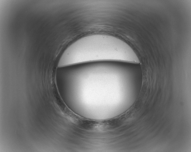 X0000067830504200604130922