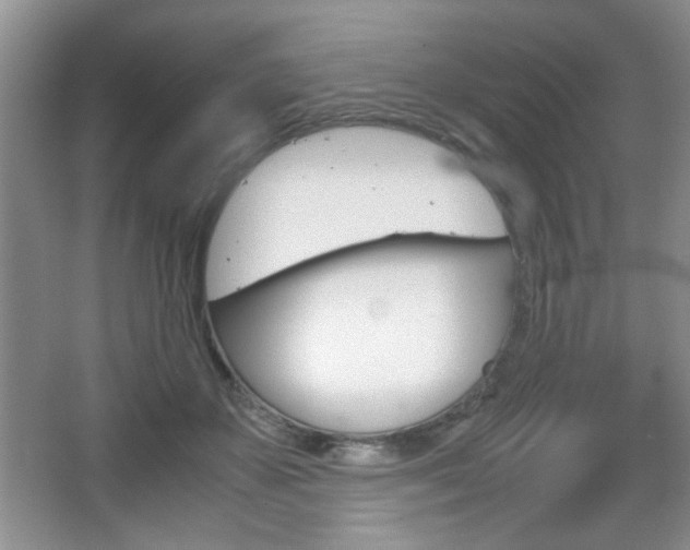 X0000067830507200604130922