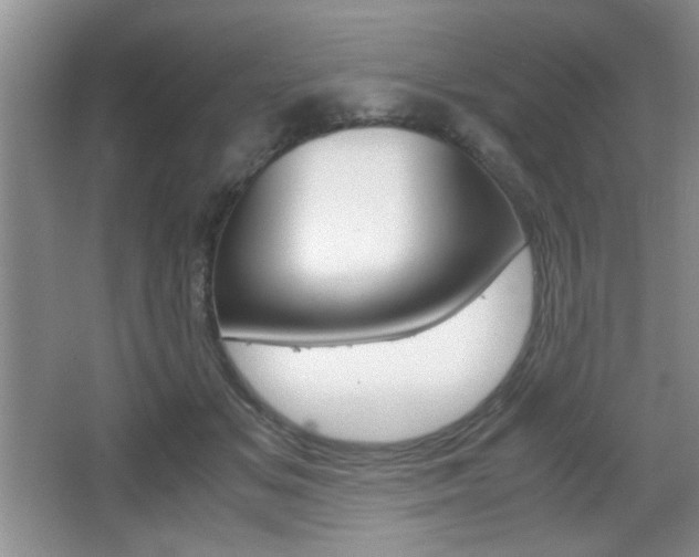 X0000067830509200604130922
