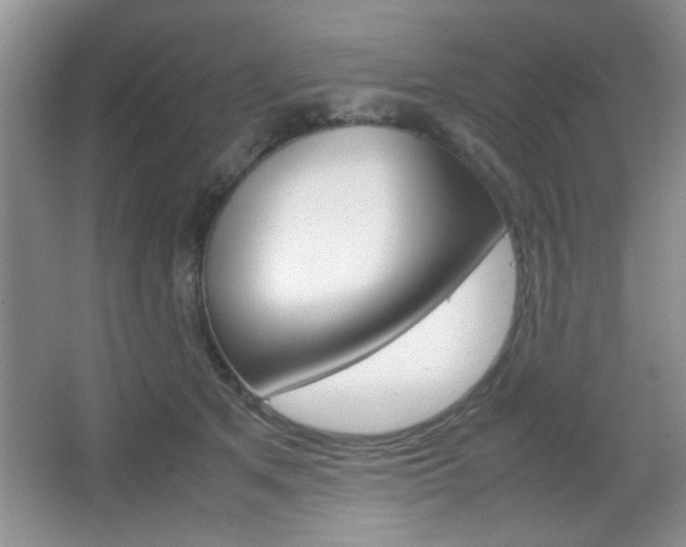 X0000067830513200604130922