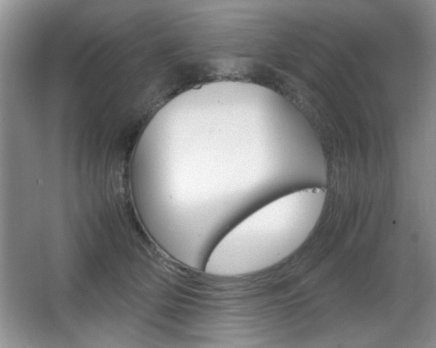 X0000067830514200604130922