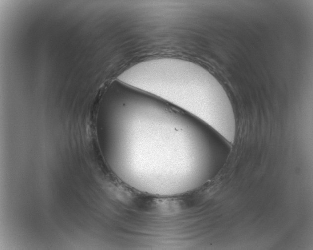 X0000067830520200604130922