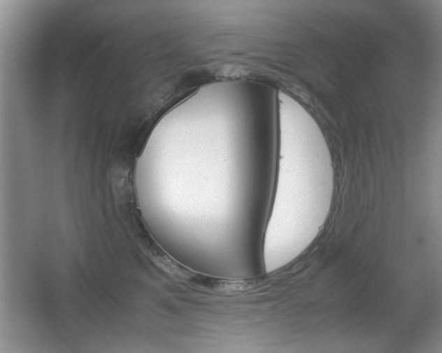 X0000067830521200604130922