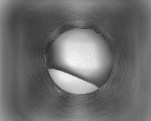 X0000067830528200604130922