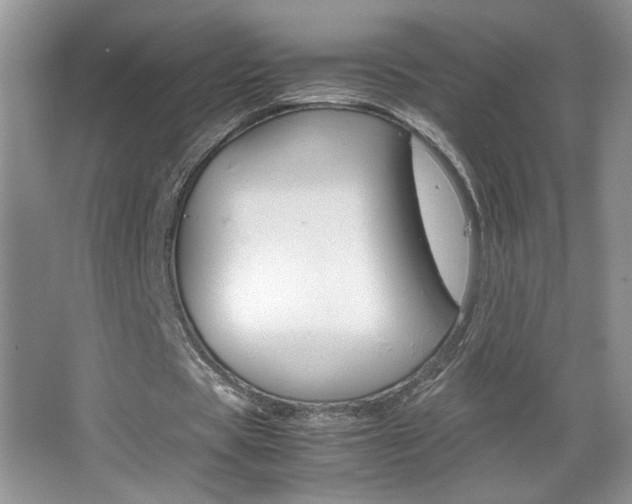 X0000067830529200604130921
