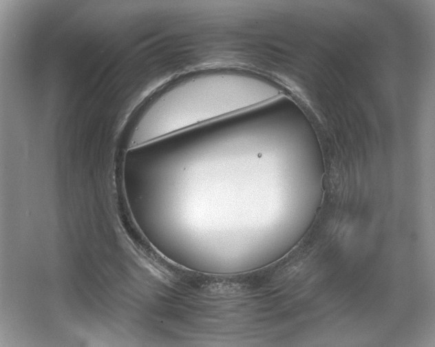 X0000067830535200604130921