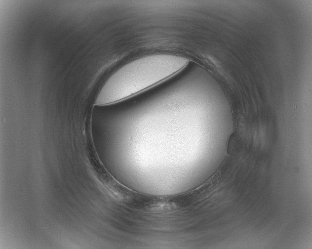 X0000067830543200604130921