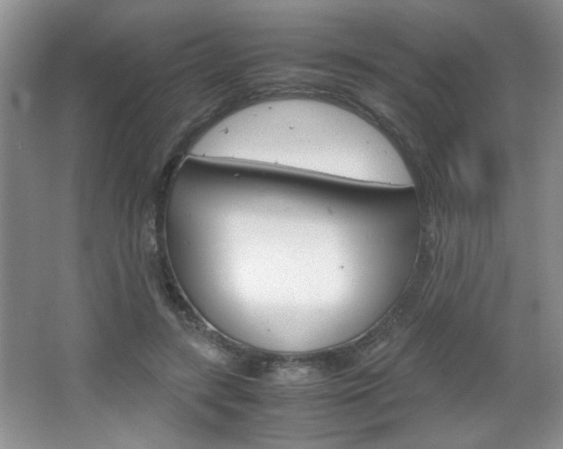 X0000067830547200604130921
