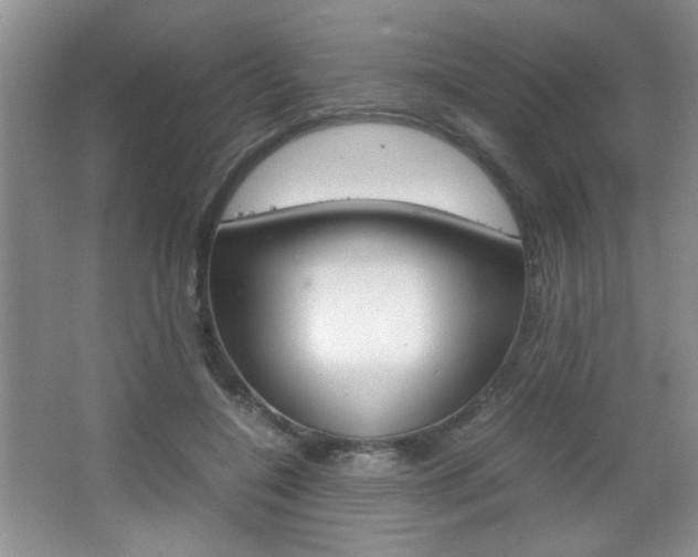 X0000067830548200604130921