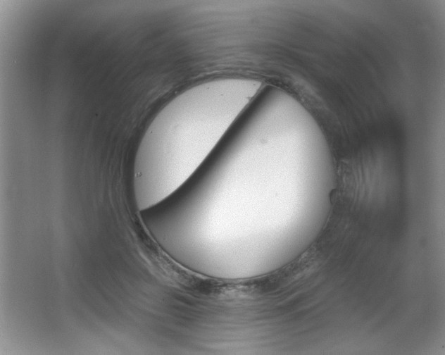 X0000067830550200604130921