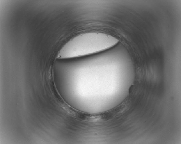 X0000067830554200604130921