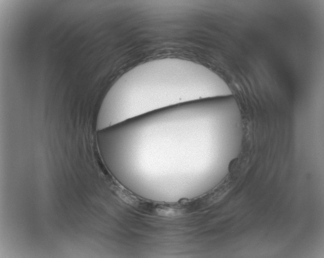 X0000067830561200604130921
