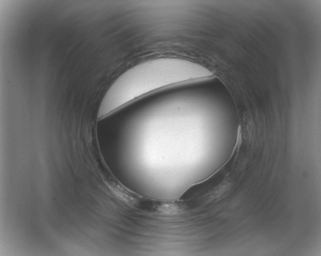 X0000067830562200604130921