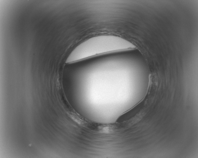 X0000067830564200604130921